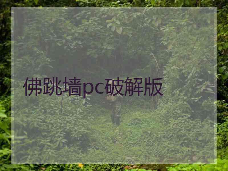 佛跳墙pc破解版