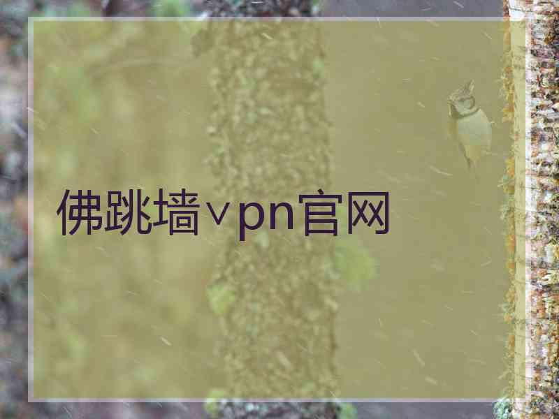 佛跳墙∨pn官网