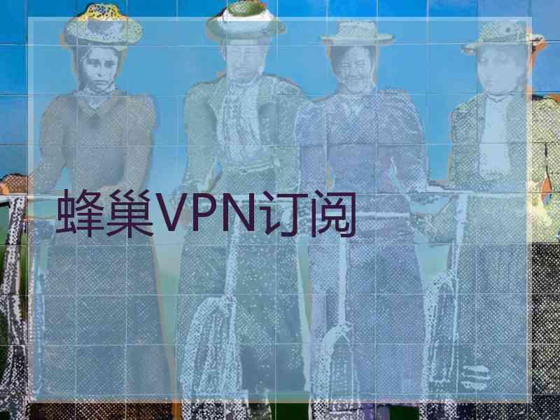 蜂巢VPN订阅