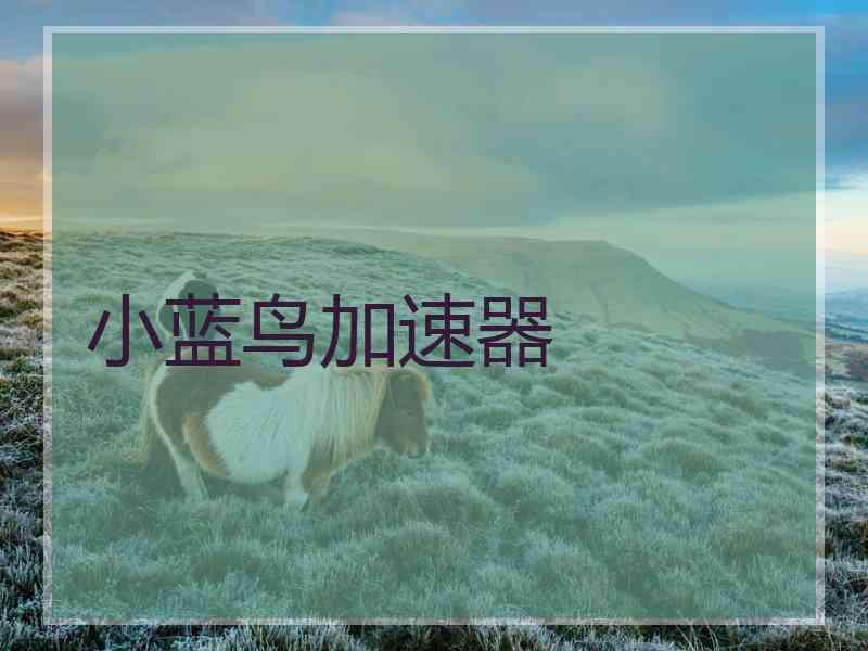 小蓝鸟加速器
