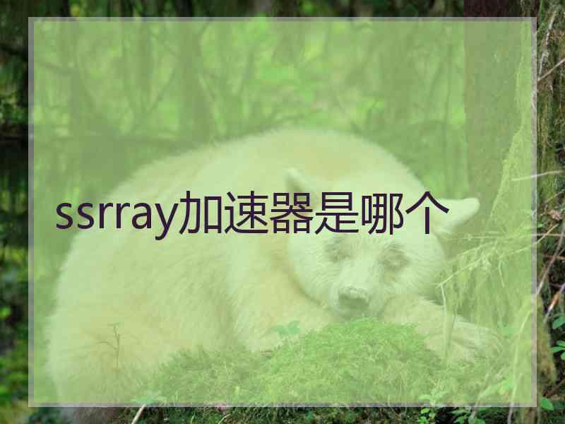 ssrray加速器是哪个