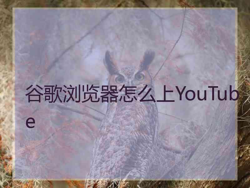 谷歌浏览器怎么上YouTube