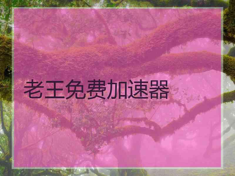 老王免费加速器