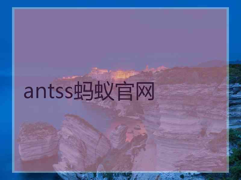 antss蚂蚁官网