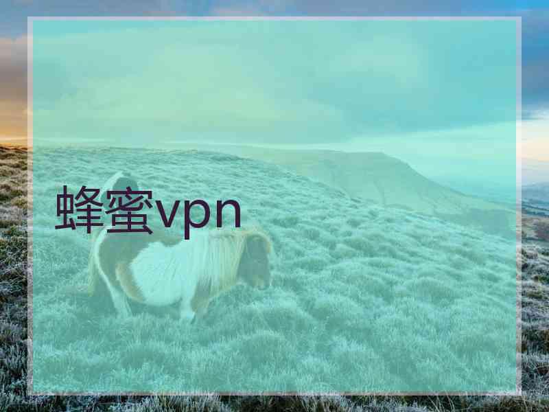 蜂蜜vpn