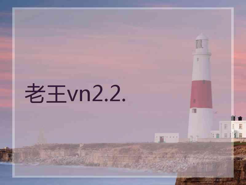 老王vn2.2.