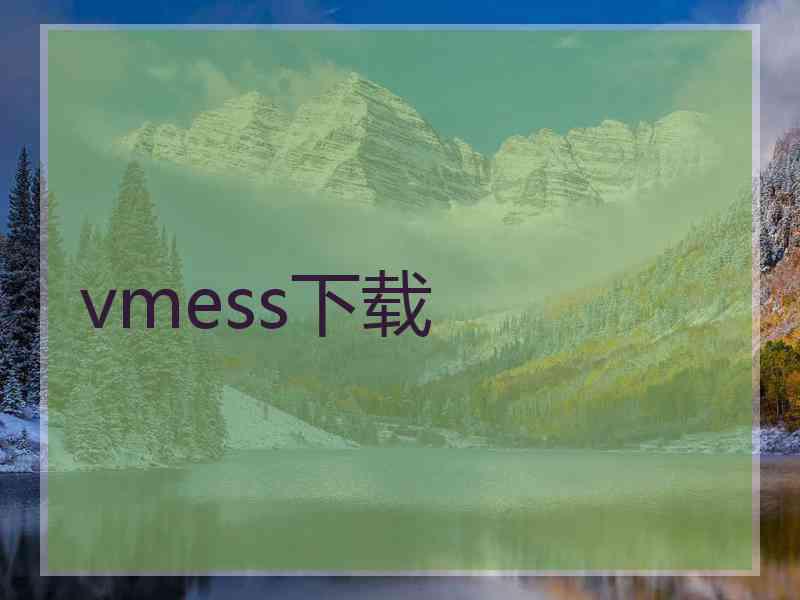 vmess下载