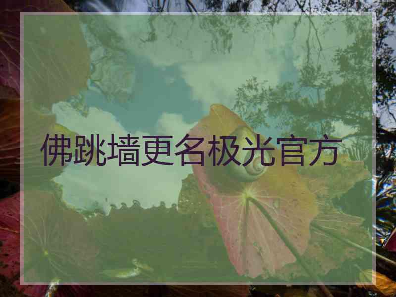佛跳墙更名极光官方