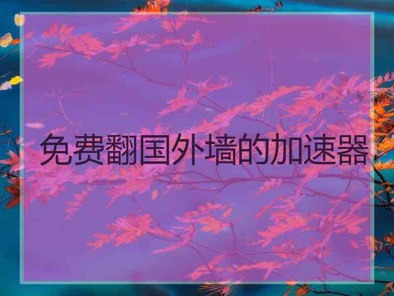 免费翻国外墙的加速器