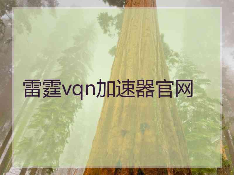 雷霆vqn加速器官网