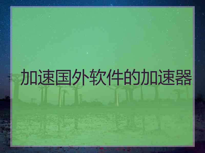 加速国外软件的加速器