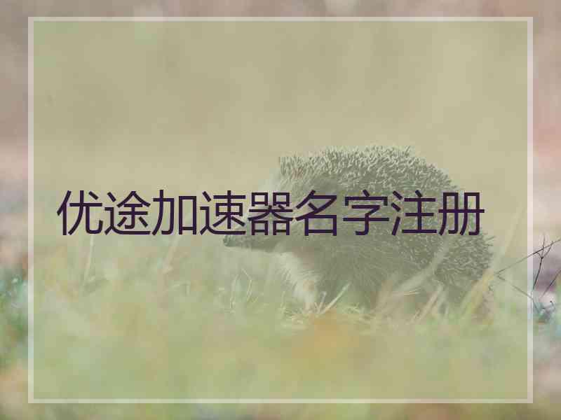 优途加速器名字注册