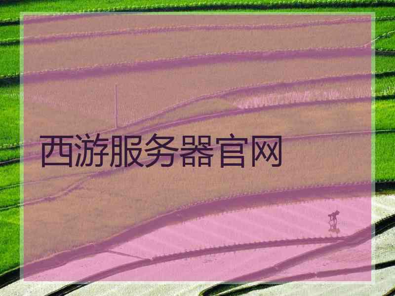 西游服务器官网