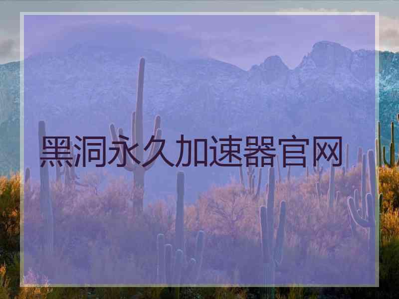 黑洞永久加速器官网