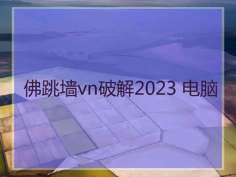 佛跳墙vn破解2023 电脑