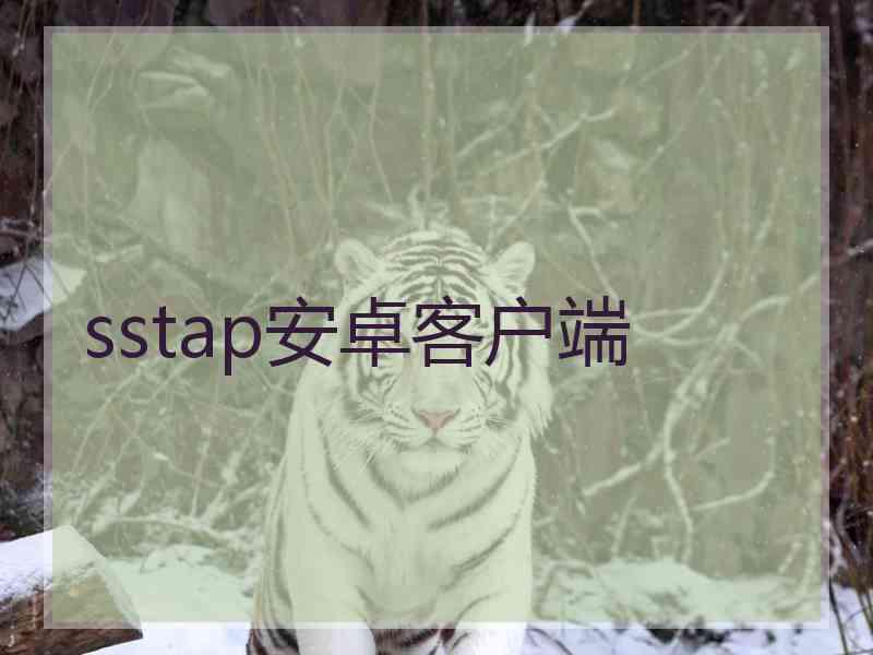 sstap安卓客户端