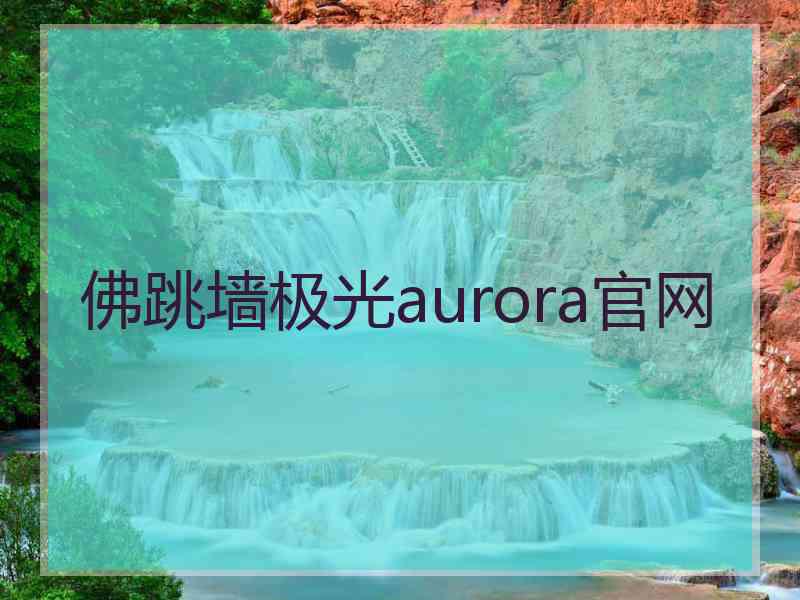 佛跳墙极光aurora官网