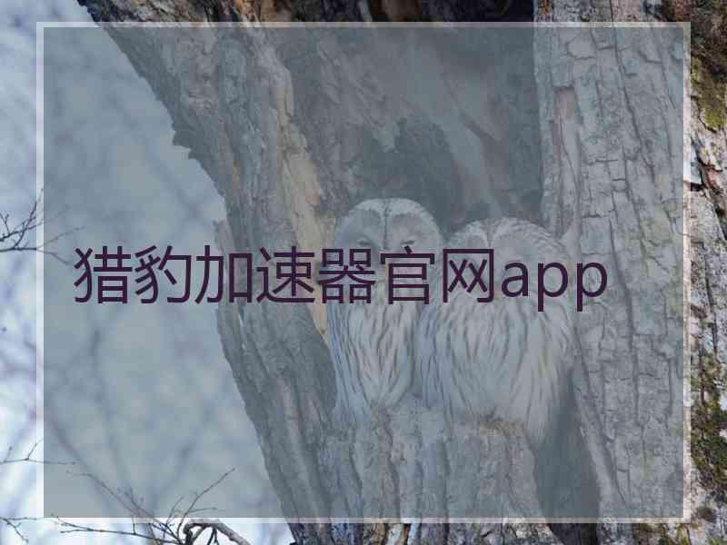 猎豹加速器官网app