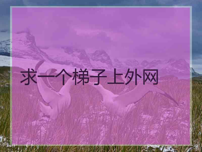求一个梯子上外网
