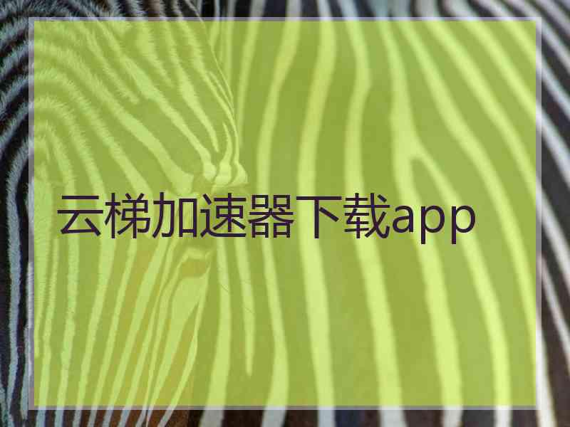 云梯加速器下载app