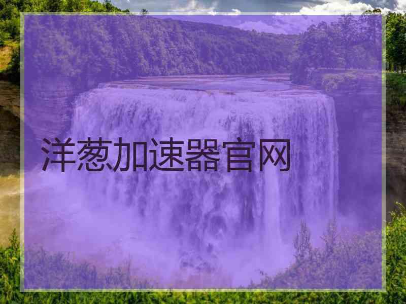 洋葱加速器官网