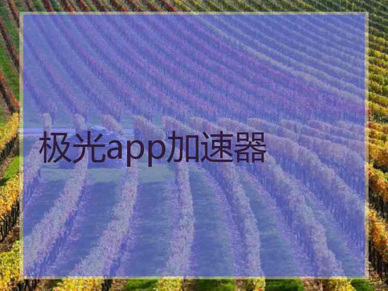 极光app加速器