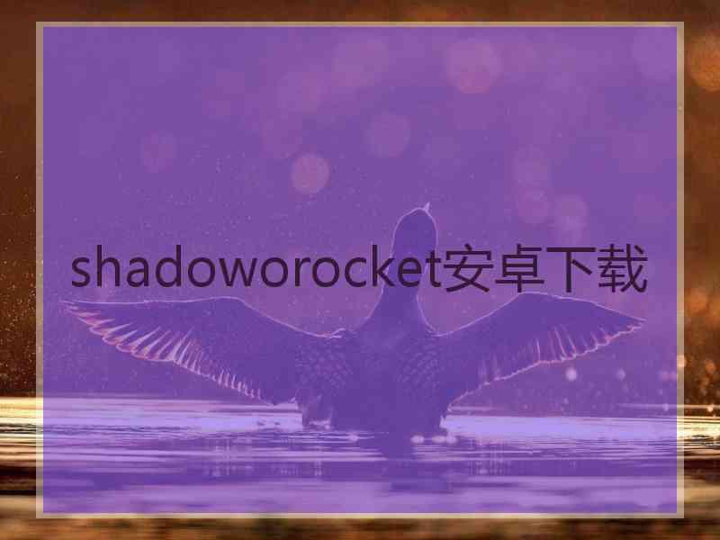 shadoworocket安卓下载