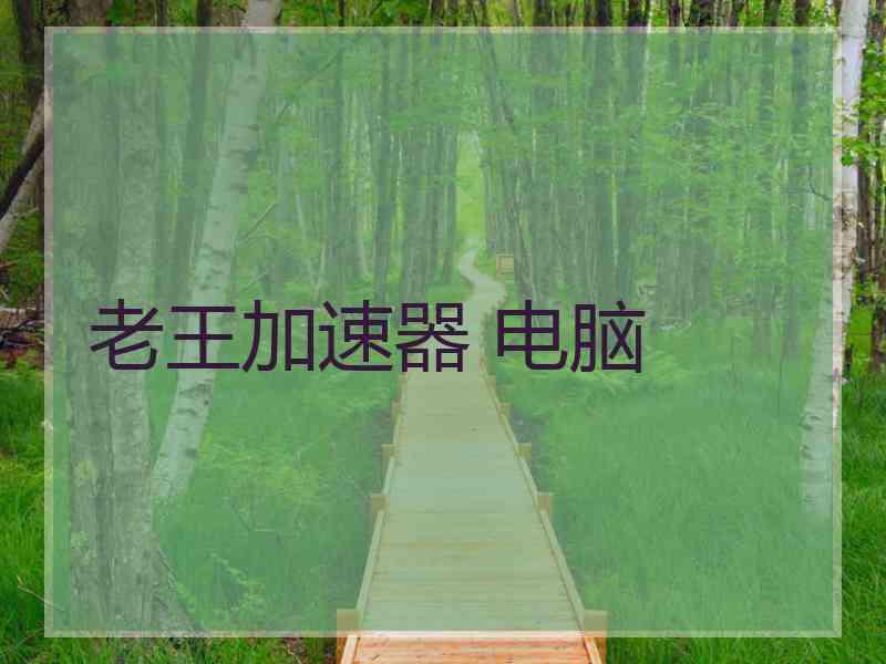 老王加速器 电脑