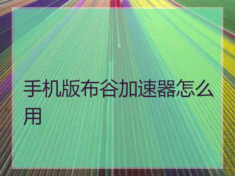 手机版布谷加速器怎么用