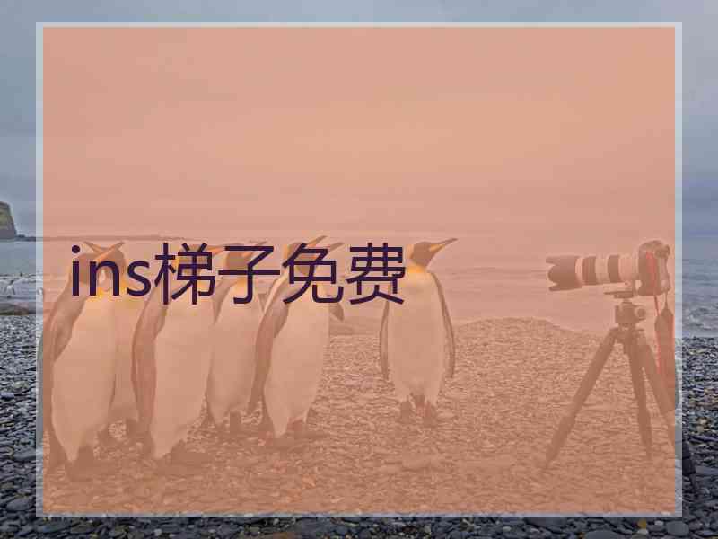 ins梯子免费