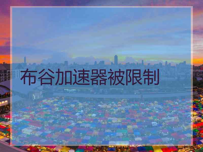 布谷加速器被限制
