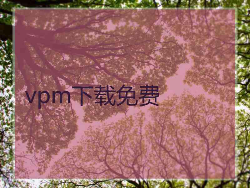 vpm下载免费
