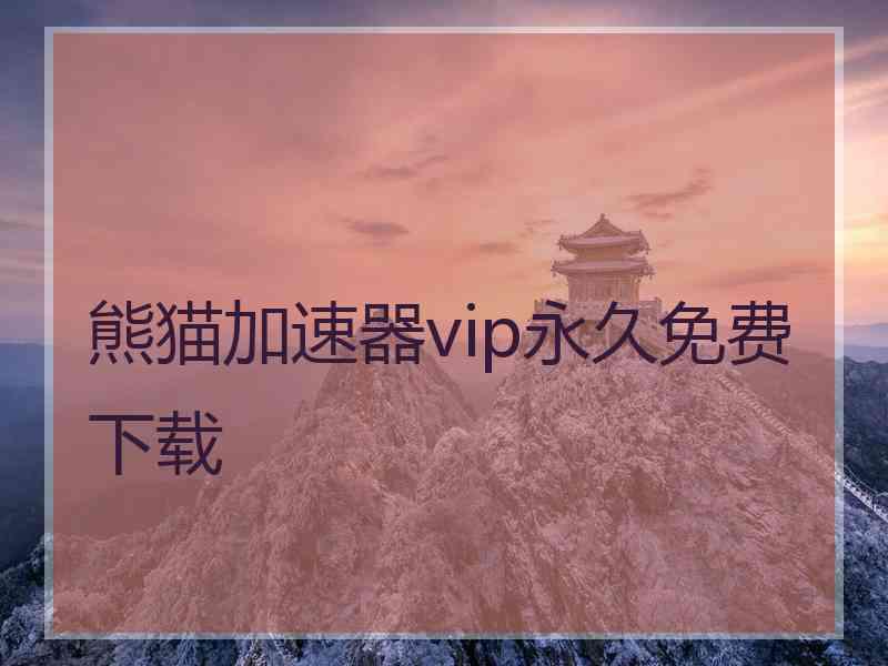 熊猫加速器vip永久免费下载