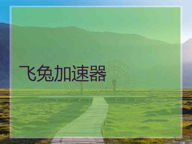飞兔加速器