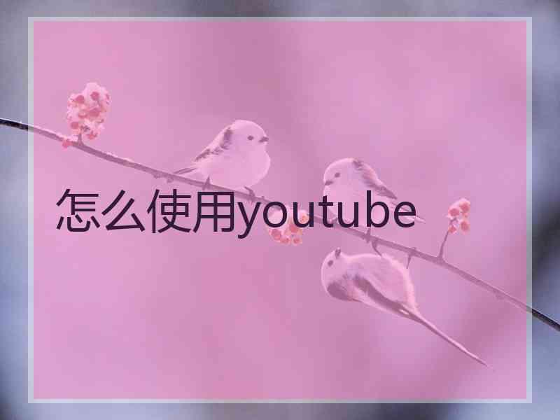 怎么使用youtube