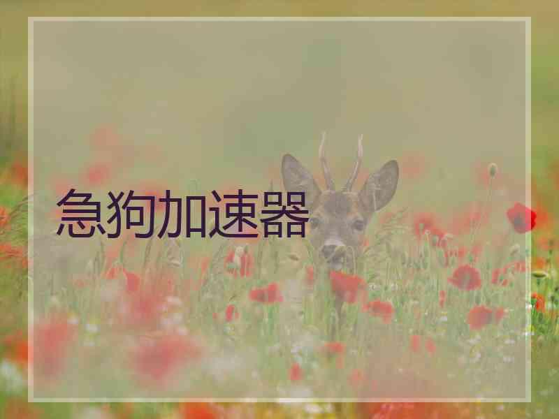 急狗加速器