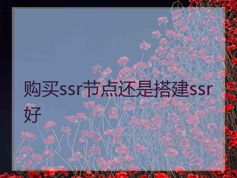 购买ssr节点还是搭建ssr好