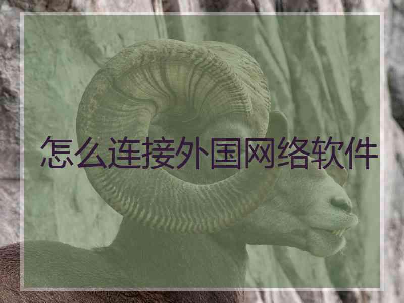 怎么连接外国网络软件