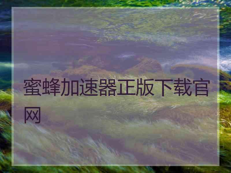 蜜蜂加速器正版下载官网