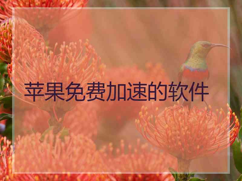 苹果免费加速的软件