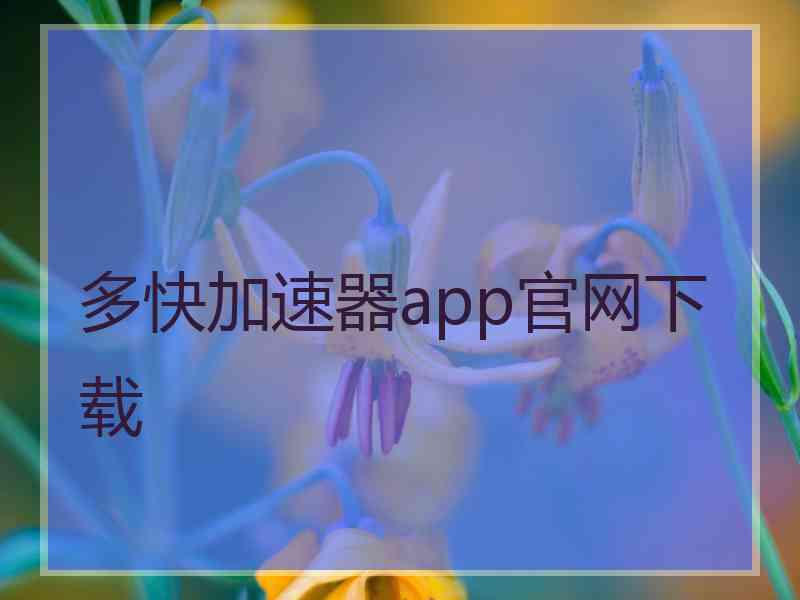 多快加速器app官网下载