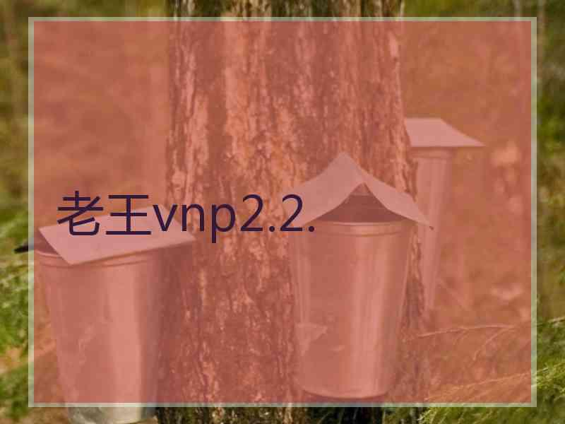 老王vnp2.2.