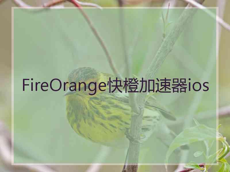 FireOrange快橙加速器ios