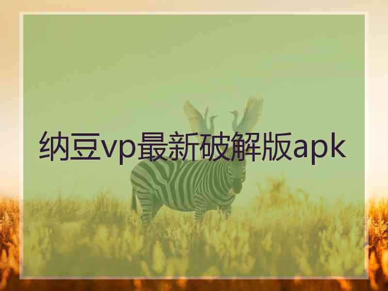 纳豆vp最新破解版apk