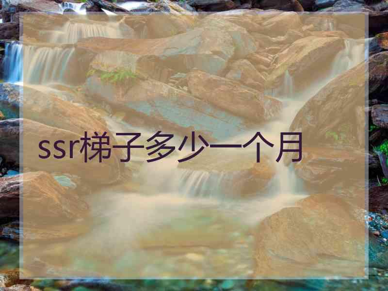 ssr梯子多少一个月