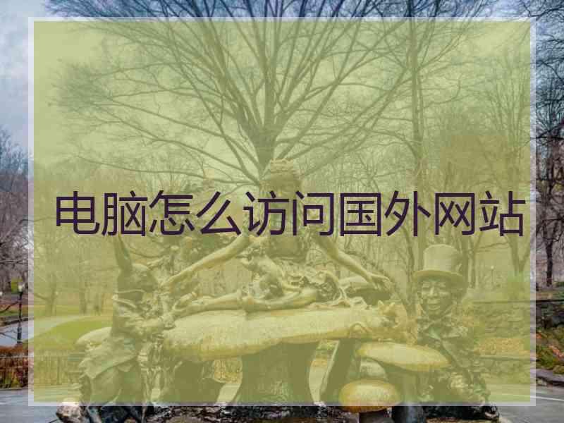 电脑怎么访问国外网站