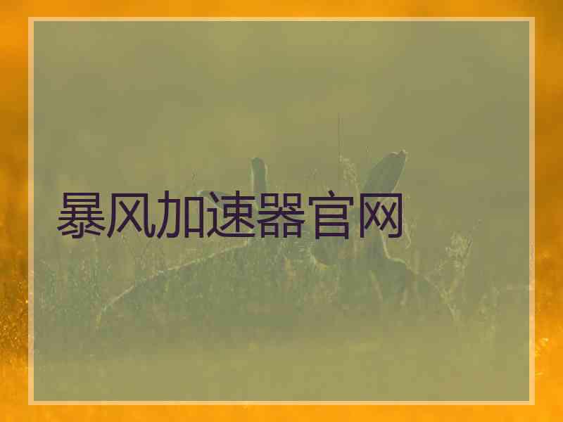 暴风加速器官网