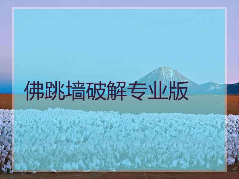 佛跳墙破解专业版