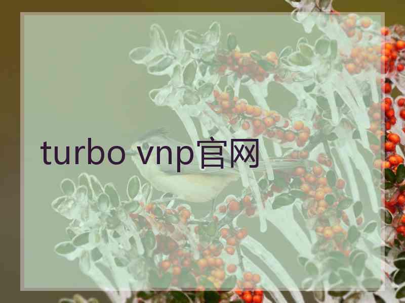 turbo vnp官网