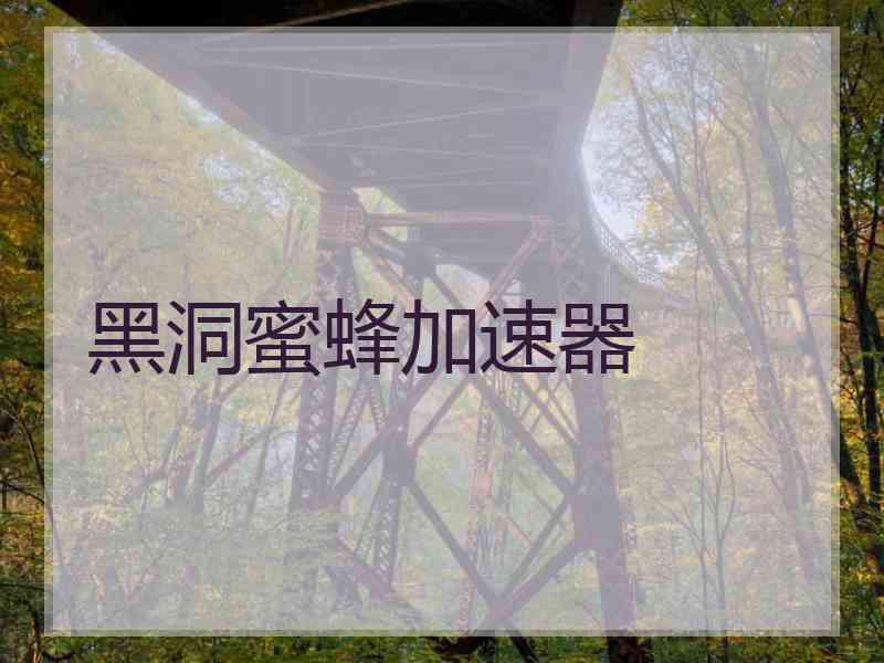 黑洞蜜蜂加速器